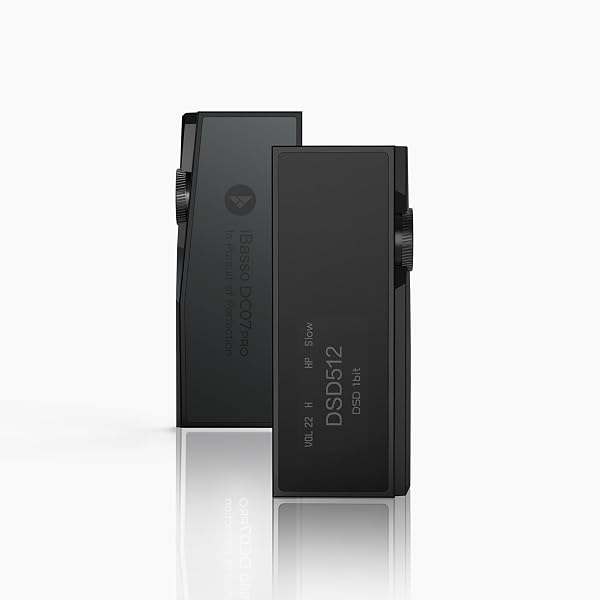 Amazon.co.jp: 『Astell&Kern AK SP4000 専用 高級レザーケース